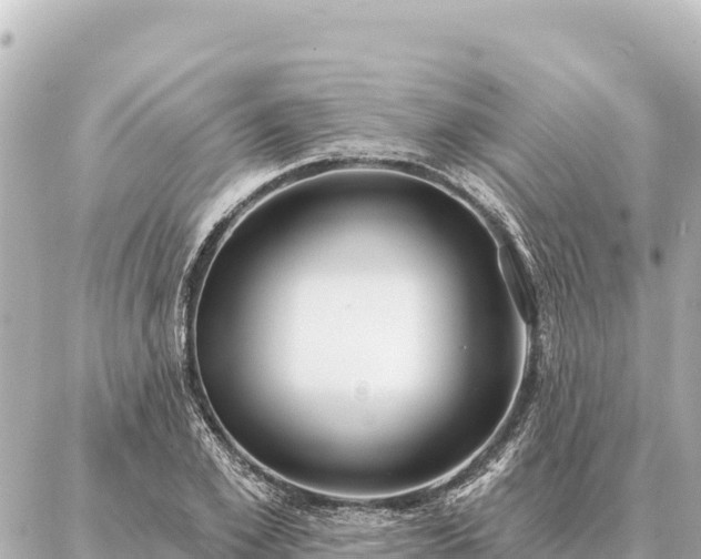 X0000086980981200704231815