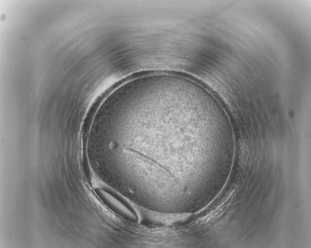 X0000086980982200704231815