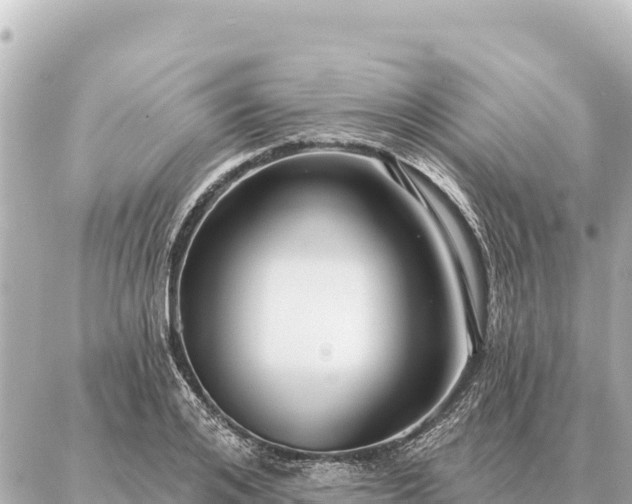 X0000086980984200704231815