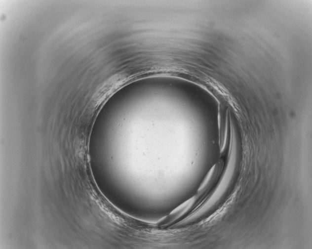 X0000086980985200704231815