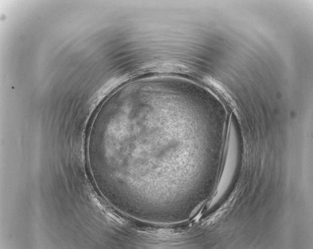 X0000086980986200704231815