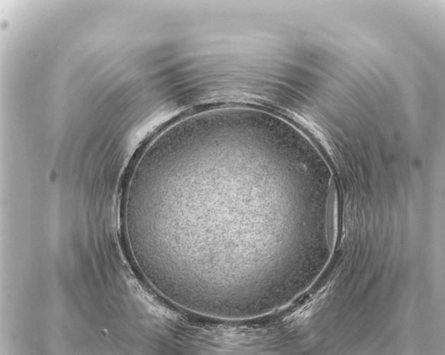 X0000086980987200704231815