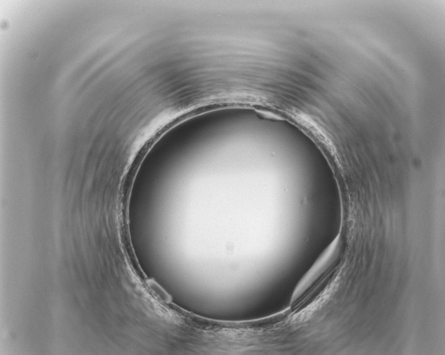 X0000086980989200704231815