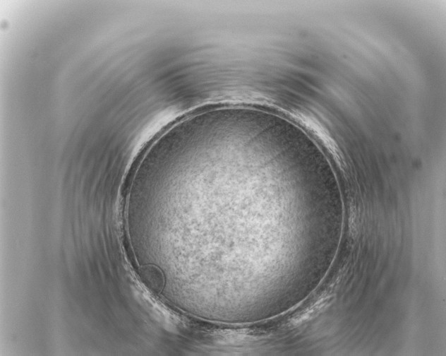 X0000086980990200704231815