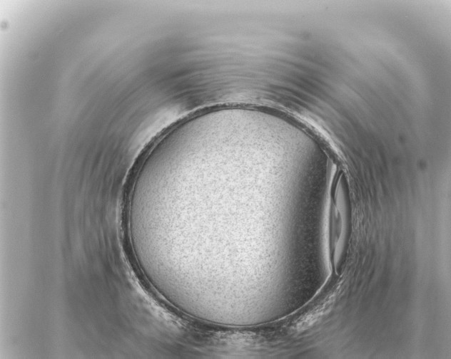 X0000086980991200704231815