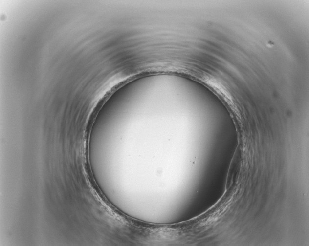 X0000086980992200704231815