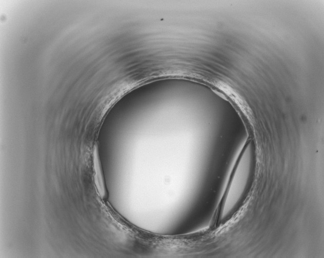 X0000086980993200704231815