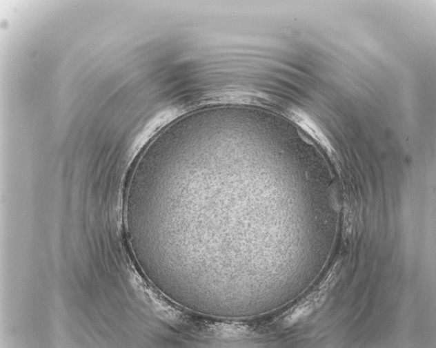 X0000086980994200704231815