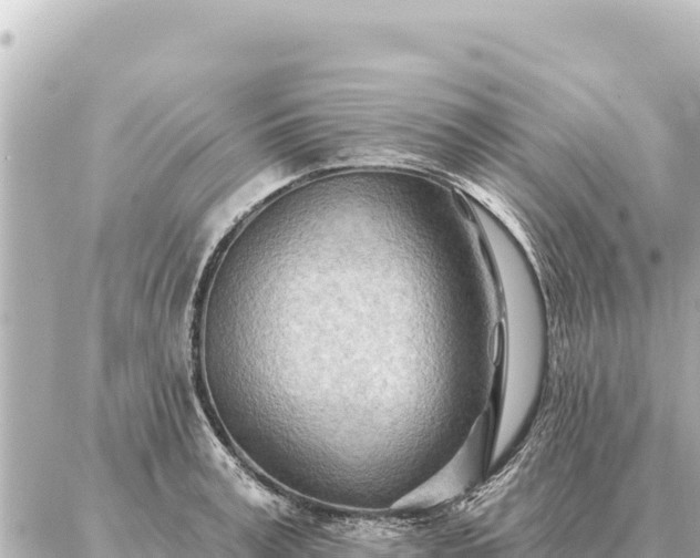 X0000086980995200704231815