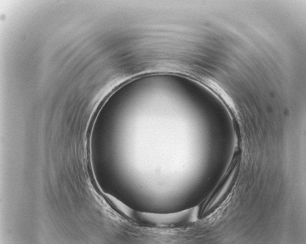 X0000086980996200704231815