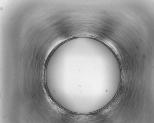 X0000086981000200704231815