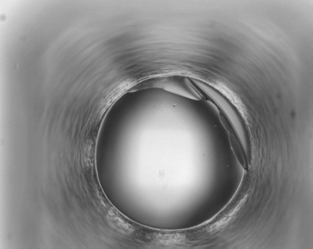 X0000086981001200704231815