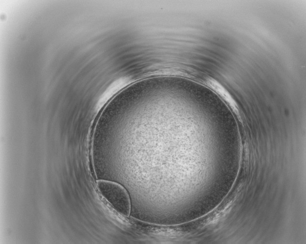 X0000086981002200704231815