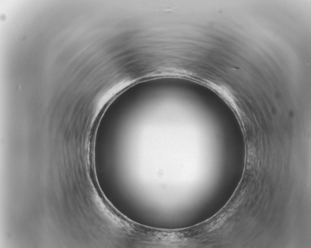 X0000086981003200704231815