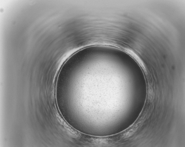 X0000086981004200704231815