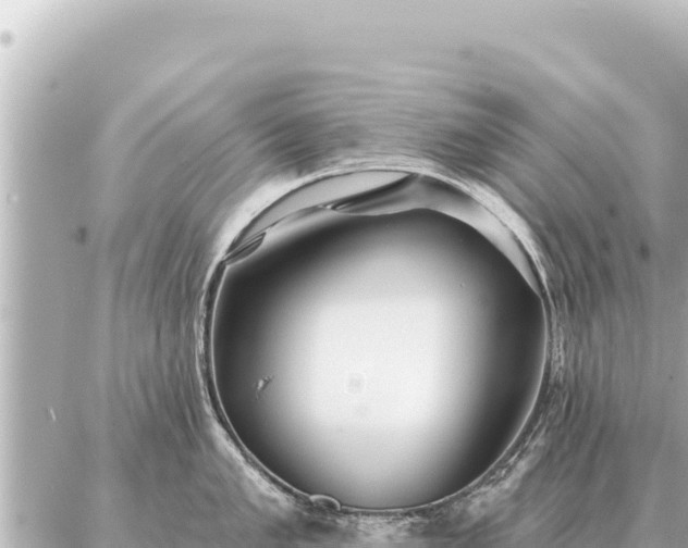 X0000086981005200704231815