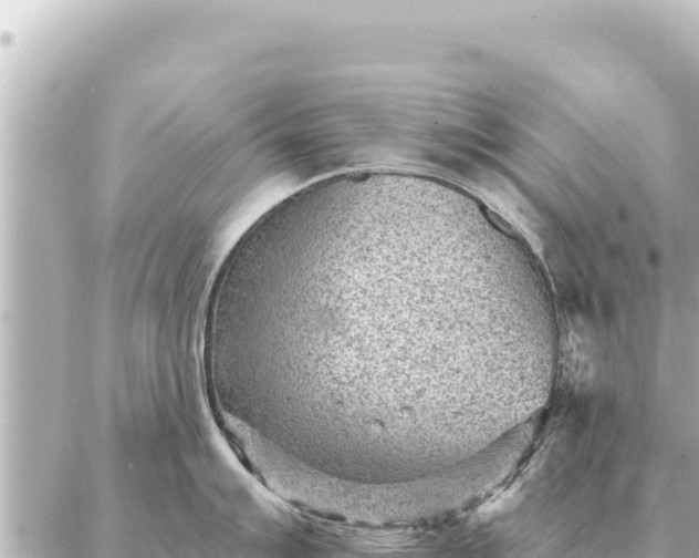 X0000086981007200704231815