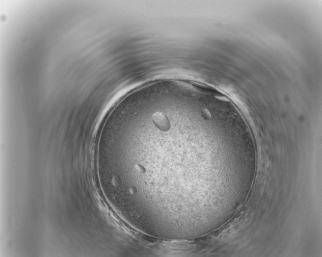 X0000086981008200704231815