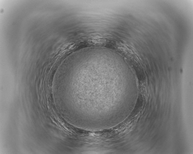 X0000086981009200704231814