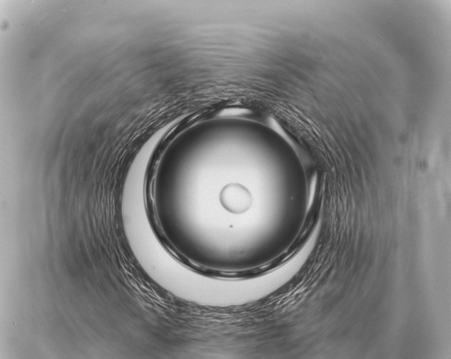 X0000086981010200704231814