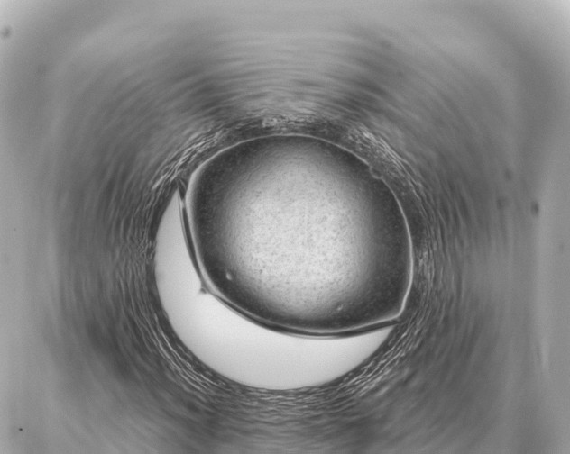 X0000086981012200704231814