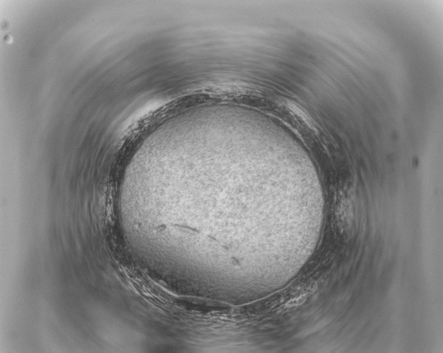 X0000086981016200704231814