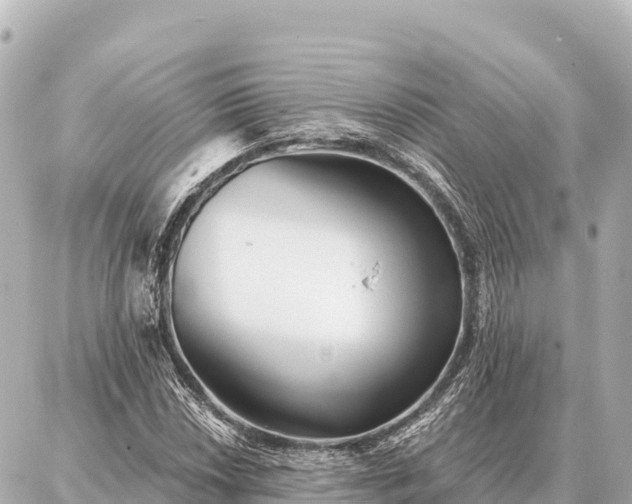 X0000086981018200704231814