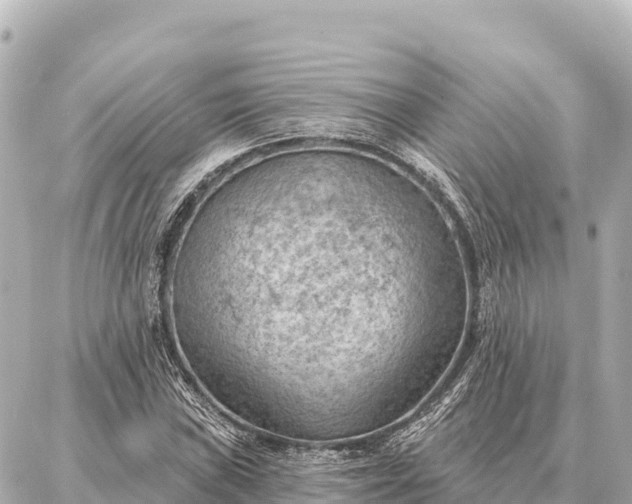 X0000086981019200704231814