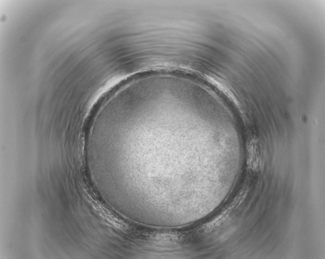 X0000086981021200704231814