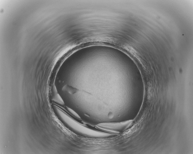 X0000086981024200704231814