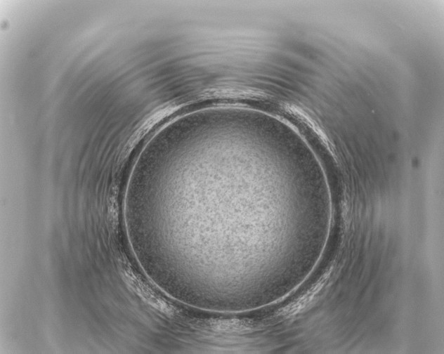 X0000086981025200704231814