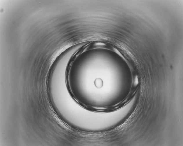 X0000086981026200704231814