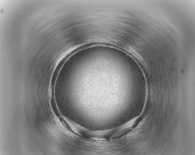 X0000086981028200704231814