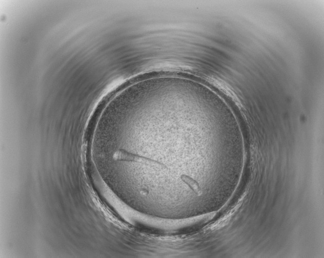 X0000086981029200704231814