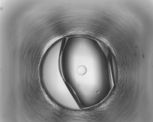 X0000086981030200704231814