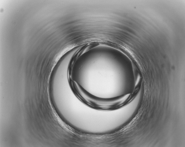 X0000086981034200704231814