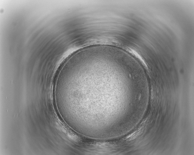 X0000086981035200704231814