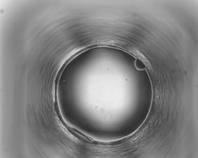 X0000086981036200704231814