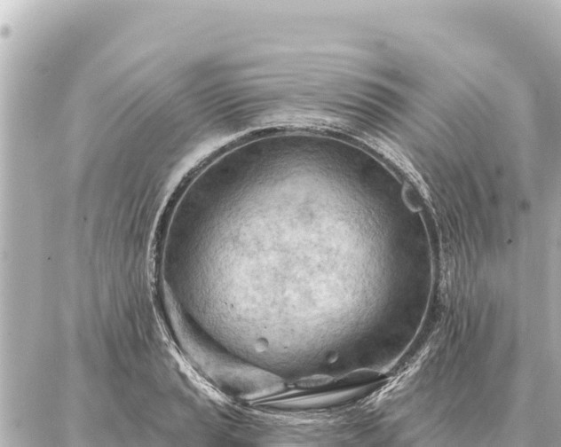 X0000086981037200704231814