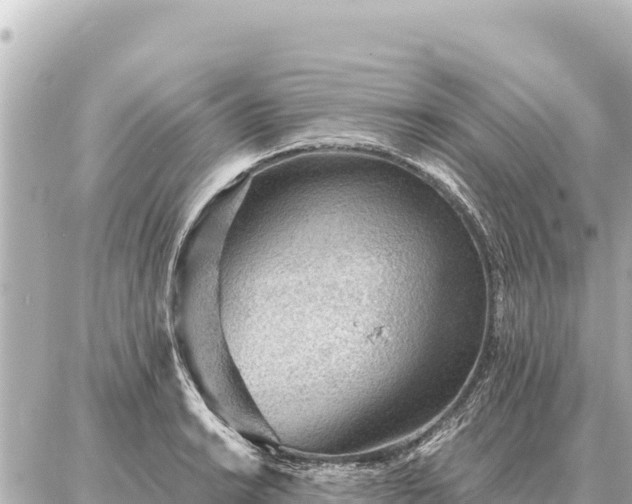 X0000086981038200704231814