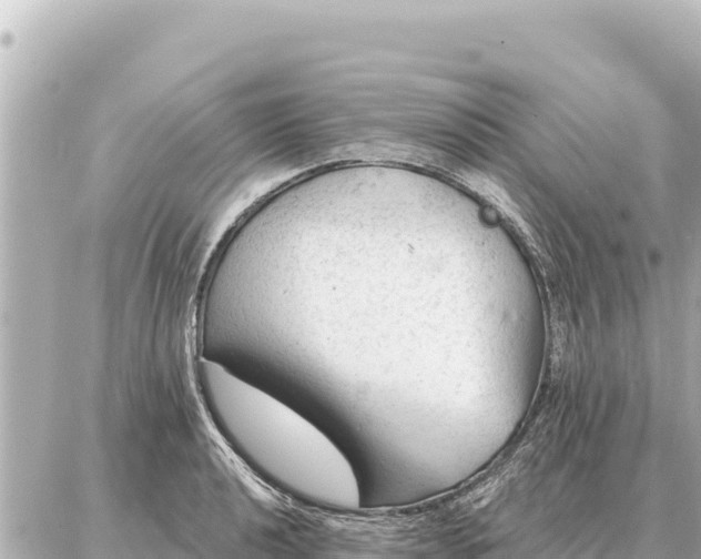 X0000086981040200704231814