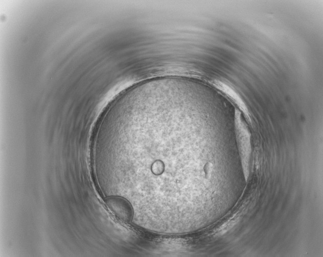 X0000086981043200704231814