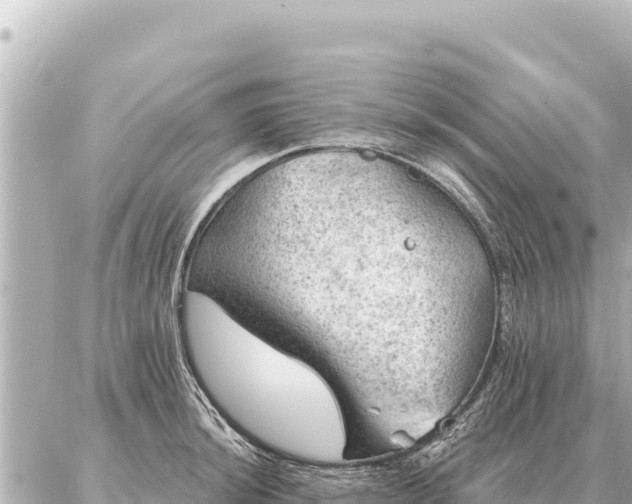 X0000086981044200704231814