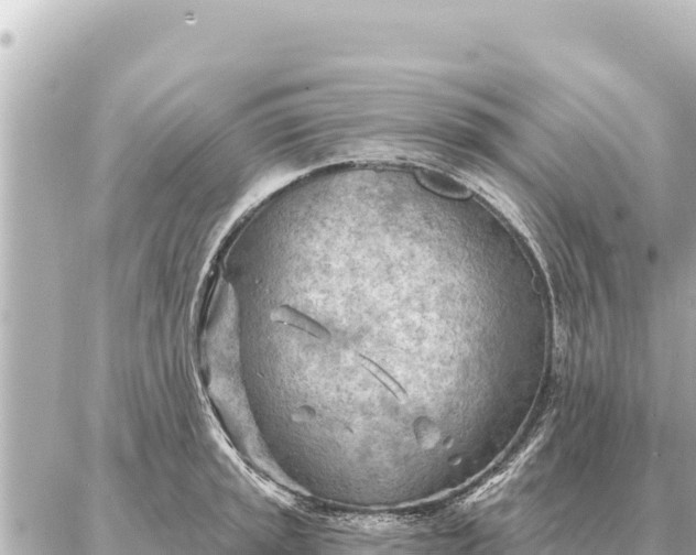 X0000086981045200704231814