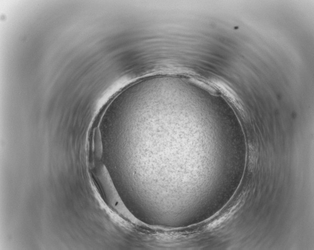 X0000086981046200704231814