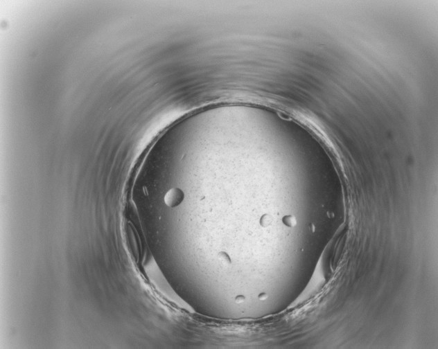 X0000086981048200704231814