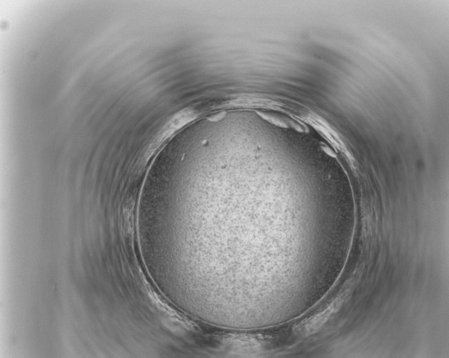 X0000086981049200704231814