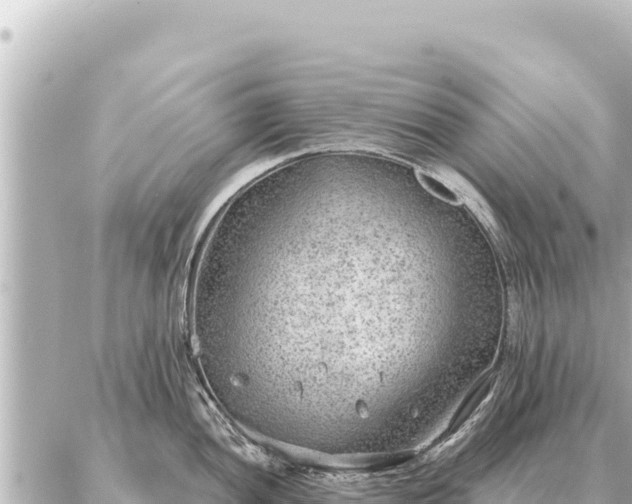 X0000086981052200704231814