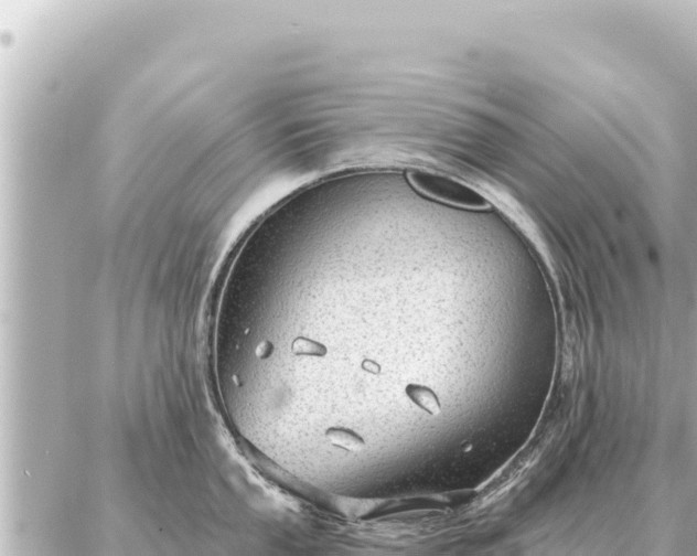 X0000086981053200704231814