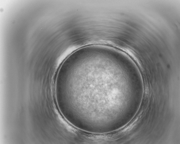 X0000086981054200704231814